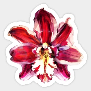 Red Orchid Flower Sticker